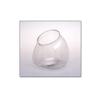Fl Globe55 X 6