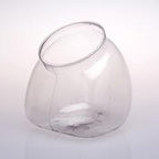 Fl Globe55 X 6