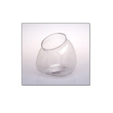 Fl Globe55 X 6