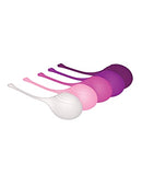 Evolved Tight&Delight Kegel Set/5 Silico