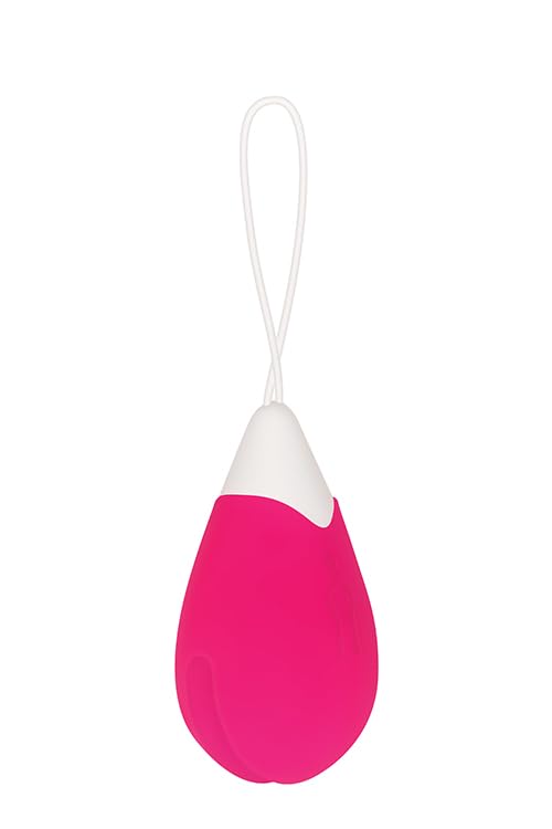 Evolved Remote Control Egg Vibrator