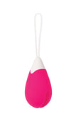 Evolved Remote Control Egg Vibrator