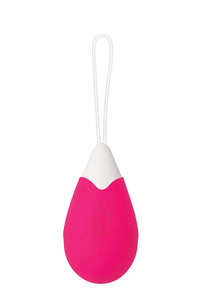 Evolved Remote Control Egg Vibrator