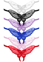 Butterfly Crotchless W/Peral Sequin Detail (Dz. Pack Only) PLUS SI ASSORTED
