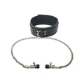 Coveted Collar and Clamp Union
