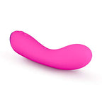 Blush Aria Silicone G Spot Vibrator - Powerful - Rechargeable - Sex Toy For Women - Sex Toy For Couples