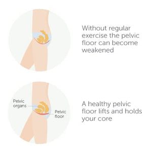 Elvie Trainer Exerciser  To Strengthen And Tone Pelvic Floor Muscles  Award Winning Smart Kegel Trainer Uses Biofeedback To Im