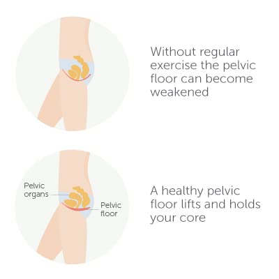 Elvie Trainer Exerciser  To Strengthen And Tone Pelvic Floor Muscles  Award Winning Smart Kegel Trainer Uses Biofeedback To Im