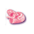 California Exotics Anal Amazon