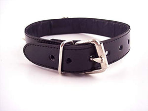 Rouge O-Ring Studded Collar Thinner Blk