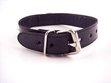 Rouge O-Ring Studded Collar Thinner Blk