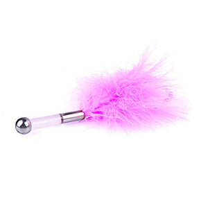 Feather Teaser Stick Adult Sex Toy Restraint Kit Anal Plug Massager