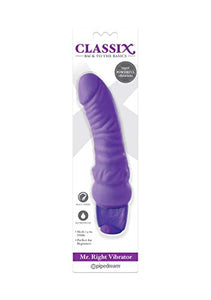 Mr. Right Vibrator - Purple