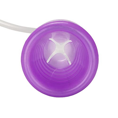 California Exotic Novelties Clitoral Intimate Pump, Purple