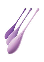 Pipedream Products Fantasy For Her Kegel Train-Her Set Purple