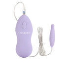California Exotics Twin Pleasure Pack Bullet, Purple