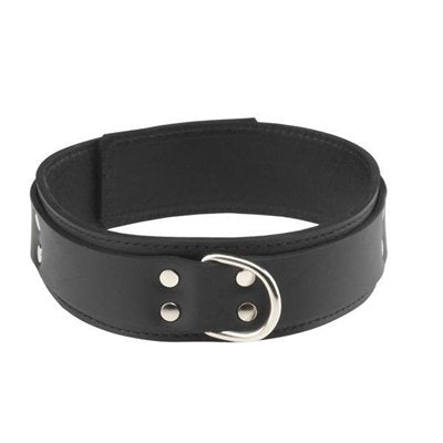 Leather Collar Comfort Fit 1.5In.