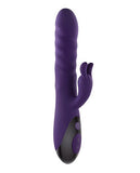 Evolved Rascally Rabbit Purple