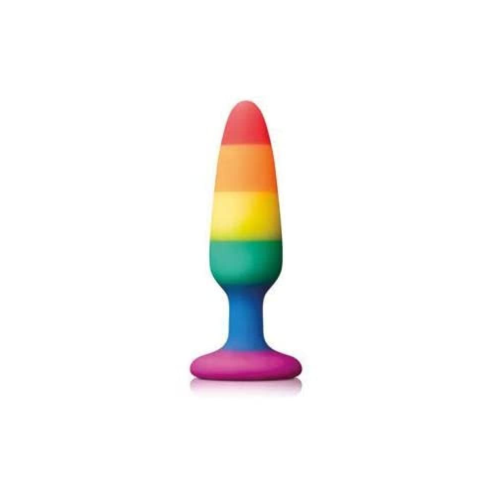 Colours Pride Edition Pleasure Plug - Small