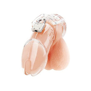 Acrylic See Thru Chasity Cage