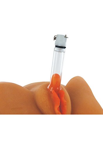 Size Matters Clitoral Pumping System With Detachable Acrylic Cylinder, Black (Ae749)