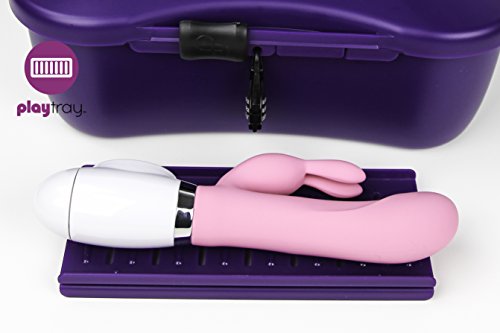 Joyboxx - Passionate Playground Hygienic Locking Storage Box System, Purple, 1 Count