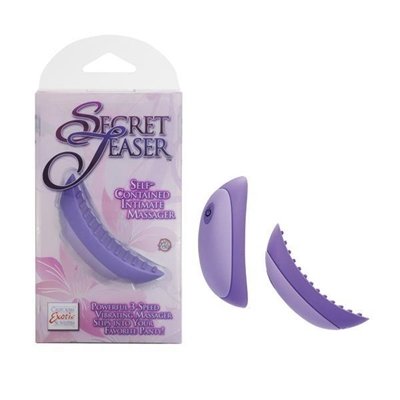 California Exotic Novelties Secret Teaser, Purple