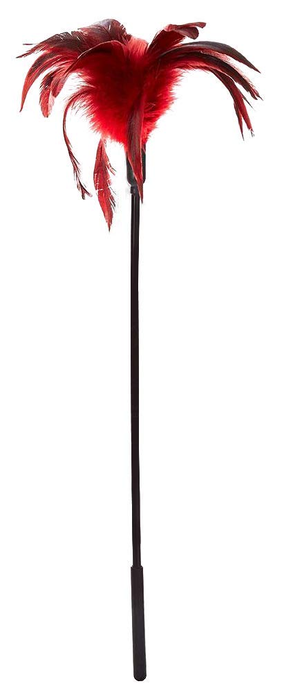 Starburst Feather Red