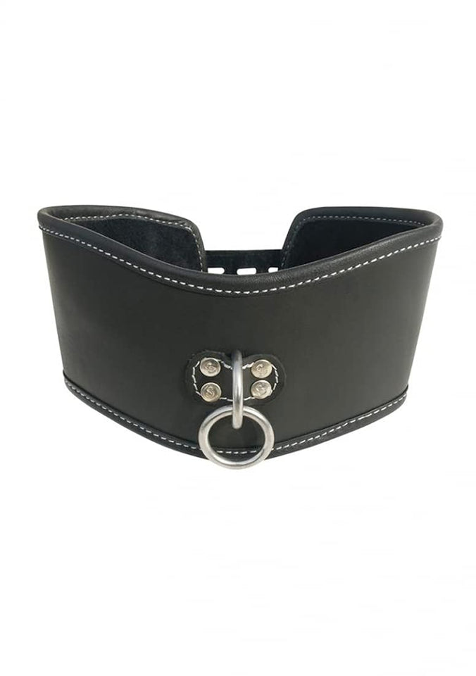 (D) EDGE SOFT LEATHER POSTURE COLLAR BLACK