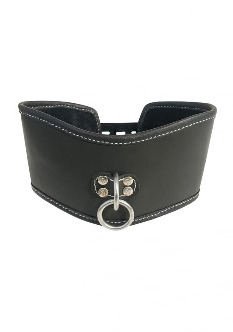 (D) EDGE SOFT LEATHER POSTURE COLLAR BLACK