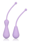(WD) DR LAURA BERMAN KEGEL SET SILICONE WEIGHTED KEGEL EXERCISERS
