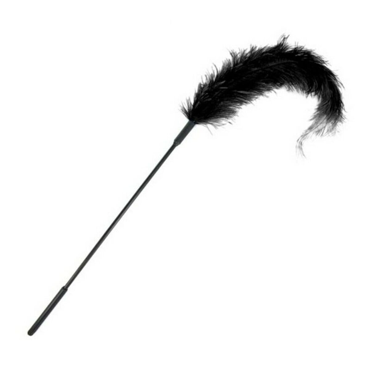 SPORTSHEETS - Ostrich Feather Tickler (Red)