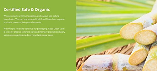 Good Clean Love Cinnamon Vanilla Personal Lubricant
