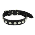 Leather Collar 1In. W/Assorted Studdes