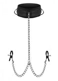 Master Series Bondage Collar And Nipple Clamp Set