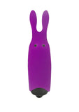 ADRIEN LASTIC POCKET VIBE PURPLE