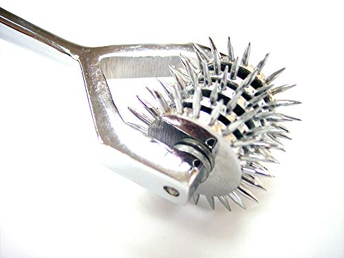 Stainless Steel Pinwheel X5