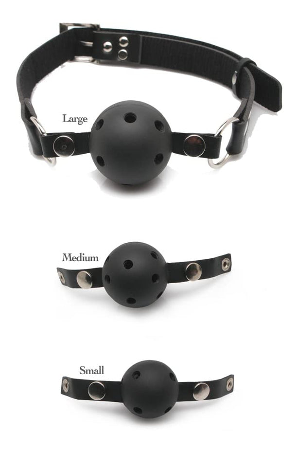 Ff Ball Gag Training System