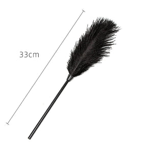 UUYYEO 2 Pcs Feather Cleaning Dusters Soft Feather Tickler Feather Teaser Wands Valentines Day Couple Toys Couples Games for Adu