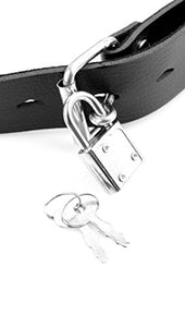 Fetish Fantasy Series Deluxe Ball Gag W/ Dong