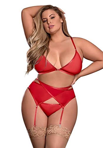 (WD) SHEER MESH BRA GARTER BE PANTY SET RED 2XL