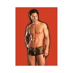 Fantasy Lingerie Excite Shorts