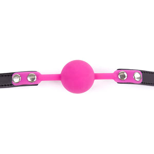 CLROY Siliicone Bondage Ball Gag, Bondage Restraints Sex Bite Gag (Color-5)