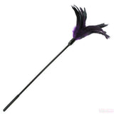 Starburst Feather Violet