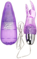 Calexotics High Intensity Snow Bunny, Purple