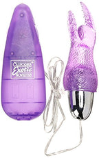 Calexotics High Intensity Snow Bunny, Purple
