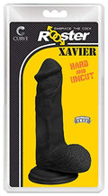 Rooster Xavier Midnight