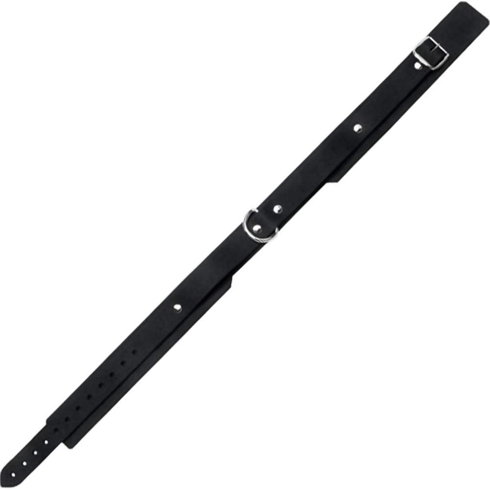 1.25IN Confort Fit Collar
