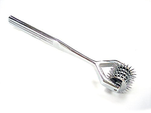 Stainless Steel Pinwheel X5