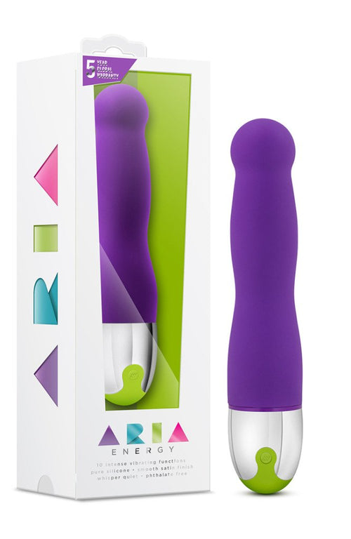 (D) Aria Energy Plum Purple Vibrator